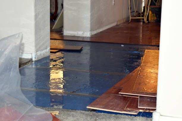 Professional Sewage Cleanup technician working in North Canton, OH